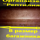 1fa1d5ecd3700b35e2e19e5c2f4f7f68