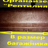 7ef4a029489069846c8046aa92a34145