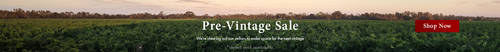 Pre Vintage Sale Website Banner3