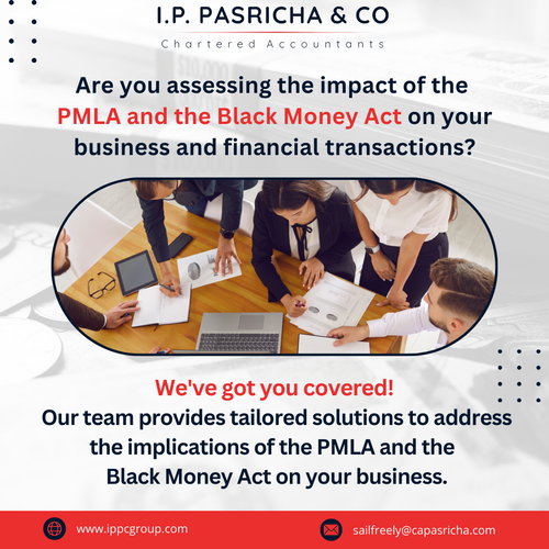 IPP February SMM post (45).png