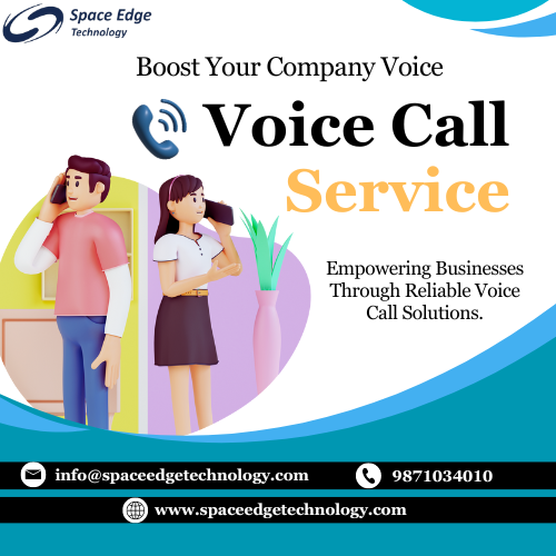 Voice Call Service Provider.png