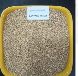 Akshaa Foods Corporation in cleantech.png