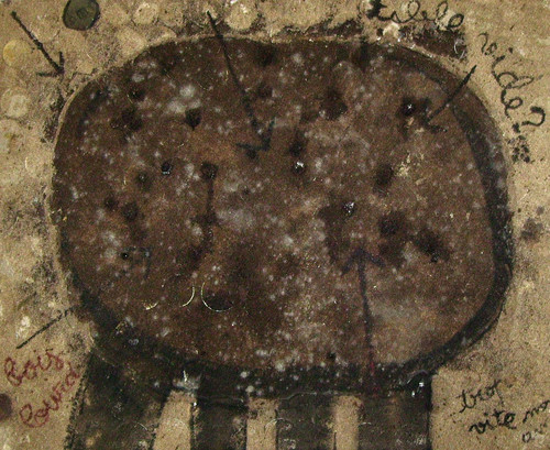 DIGITAL CAMERA