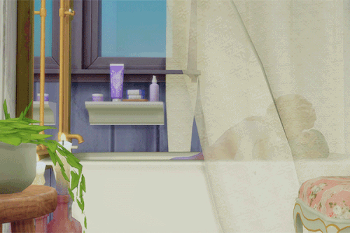 11 Untitled 21.gif