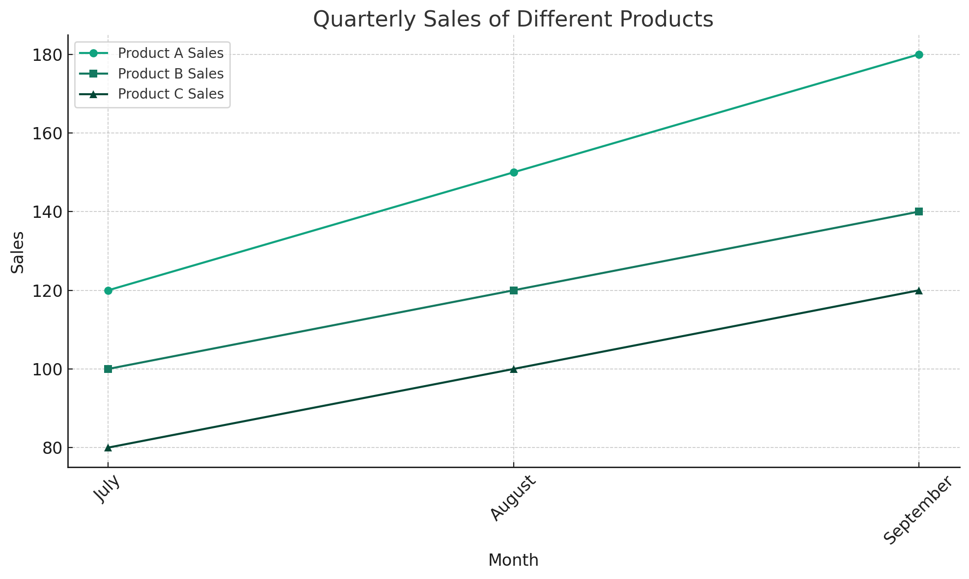 SEO Performance and Hosting Types