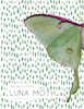 Giant Gentle Luna Moth.png