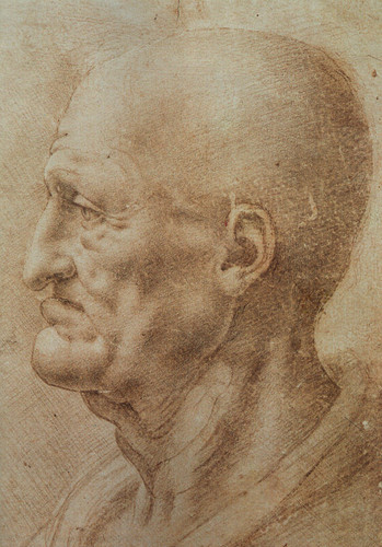 Study of an old mans profile EUR