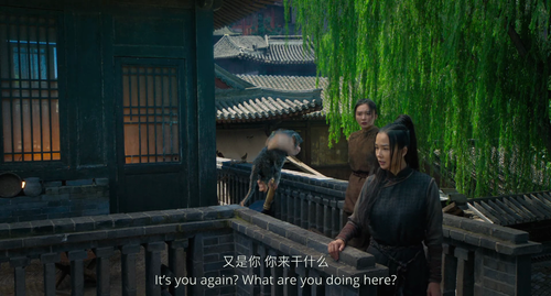 正片｜龙牌之谜 0 1920x1032 600 ts 25 1 2 AVC.mkv 20240223 171951.181.png