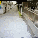 我左青龙右白虎，老牛在腰间.gif
