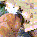好吃吗？好吃.gif