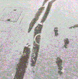 可见当时有多绝望.gif