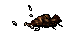 5542.png