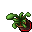 9982.png