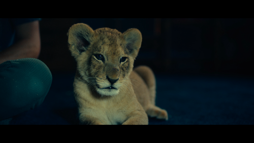 King.2022.2160p.WEB DL.DTS HD.MA.5.1.x265 NOGRP.mkv 001900.633.png