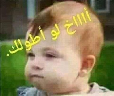 348464778 1342332286387112 9018976566563519147 n.jpg