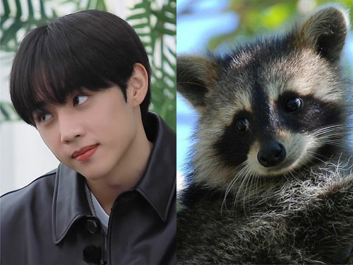 B4B4AB20 7FF3 4251 8230 12AFF16A0BDB.jpg