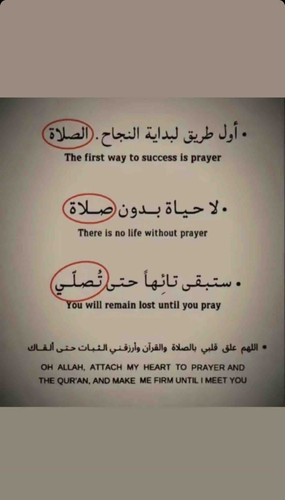 7D56F4A3 7FD6 485B B06A 2BD96192F49C.jpg