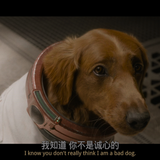 Guardians.of.the.Galaxy.Vol.3.2023.UHD.Blu ray.2160p.10bit.HDR.2Audio.TrueHD(Atmos).7.1.x265 beAst.m