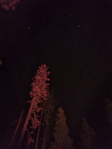 20230916 211654.jpg