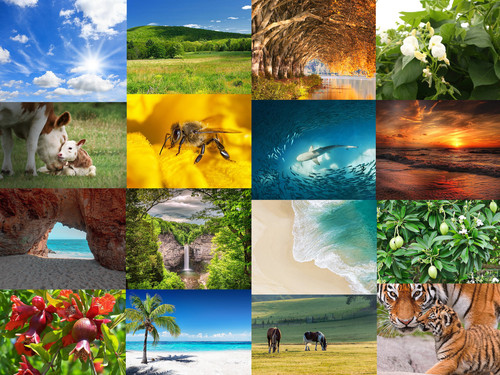 ' Glorified is The Mighty Creator '.jpg