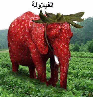 C9F0BF7F DF1A 4B6E AE64 7F9CD47050DF.jpg
