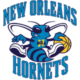 Hornets 2009 2013