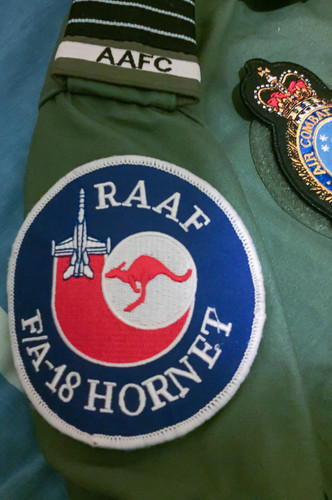 RAAF-F/A-18 HORNET.jpg