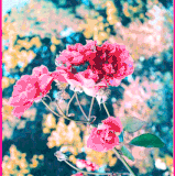 1422635TqxCaq0y.gif