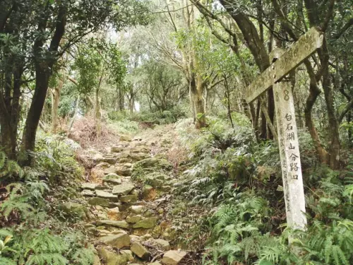 00000 大崙頭山古道.webp