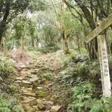 00000 大崙頭山古道