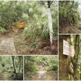 00002 大崙頭山古道