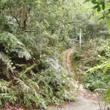 00003 大崙頭山古道