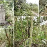 00004 大崙頭山古道，途經碧山