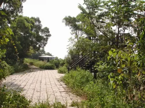 00011 石光古道觀景台.webp