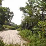 00011 石光古道觀景台