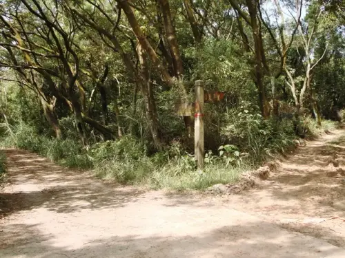 00015 石光古道往東平里叉路.webp