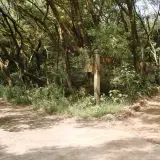 00015 石光古道往東平里叉路