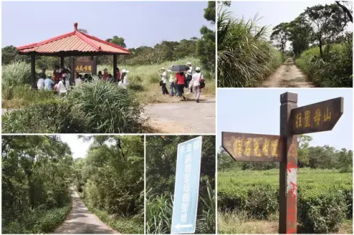 00016 石光古道終點是茶園.webp