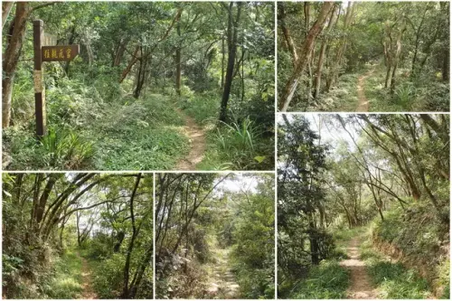 00009 石光古道.webp