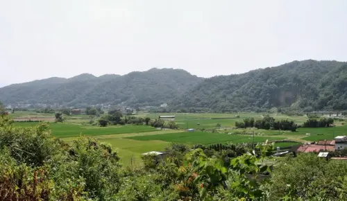 00020 關西稻田.webp