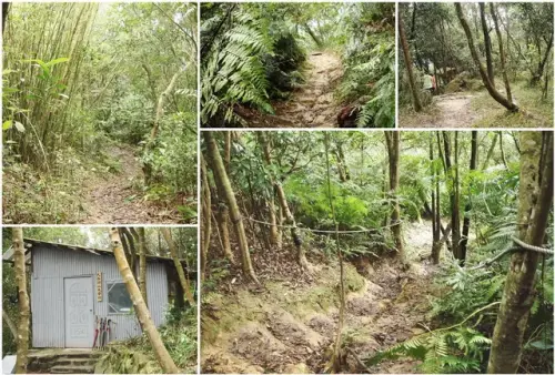 00007 大崙頭山友會館.webp