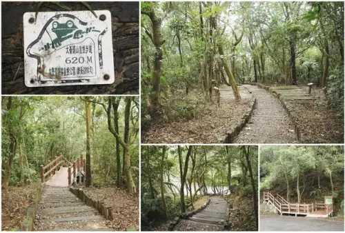 00011 大崙頭山自然步道.webp