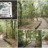 00011 大崙頭山自然步道