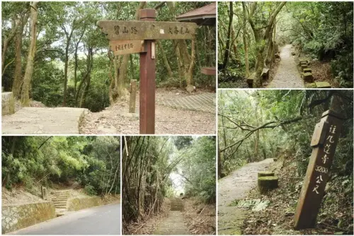 00015 大崙尾山南面步道.webp