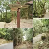 00015 大崙尾山南面步道