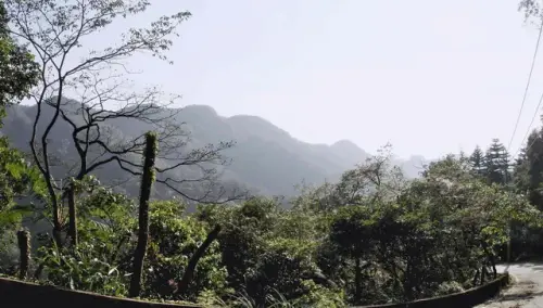 00032 阿柔洋產道仰望二格山.webp