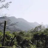 00032 阿柔洋產道仰望二格山