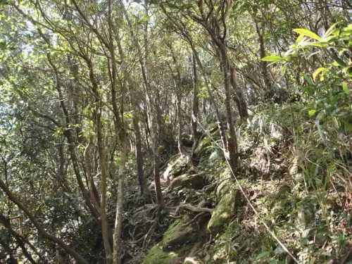 00021 二格山步道