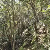 00021 二格山步道