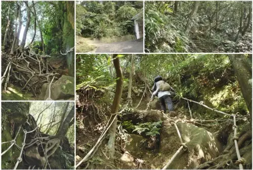 00005 猴山岳大峭壁.webp